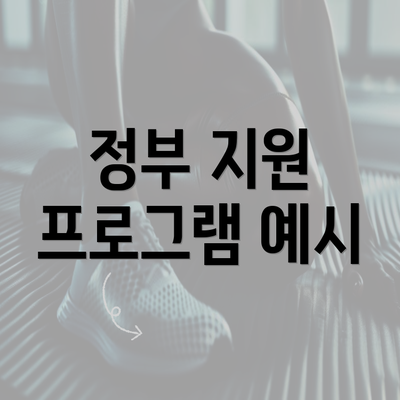 정부 지원 프로그램 예시