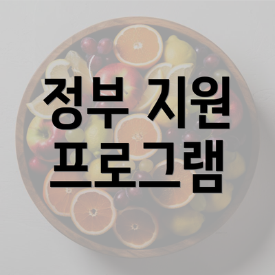 정부 지원 프로그램