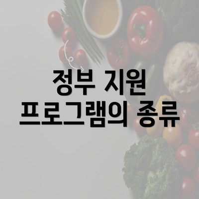 정부 지원 프로그램의 종류