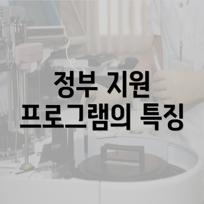 정부 지원 프로그램의 특징