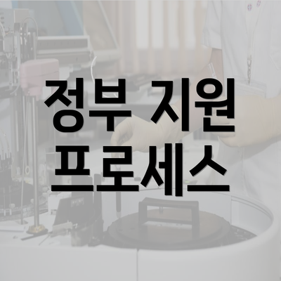 정부 지원 프로세스