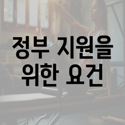 정부 지원을 위한 요건