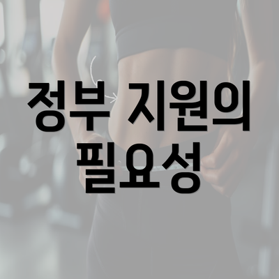 정부 지원의 필요성