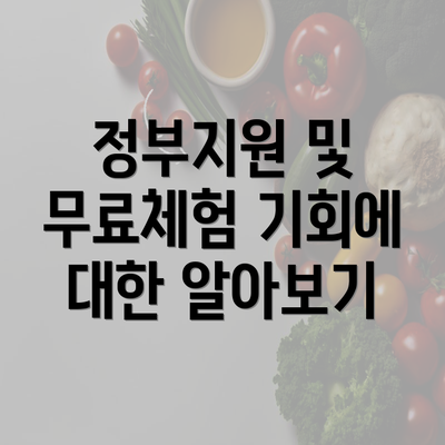 정부지원 및 무료체험 기회에 대한 알아보기