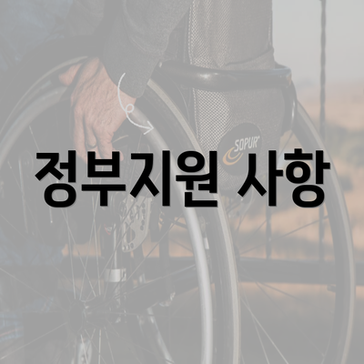 정부지원 사항