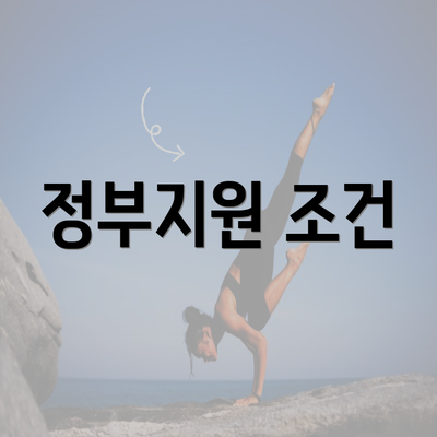 정부지원 조건