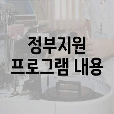 정부지원 프로그램 내용