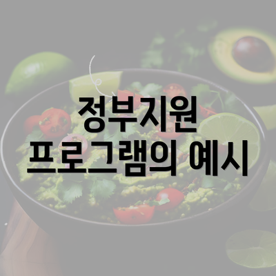 정부지원 프로그램의 예시