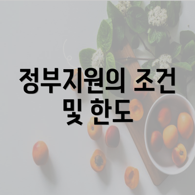 정부지원의 조건 및 한도