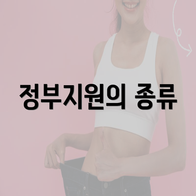 정부지원의 종류