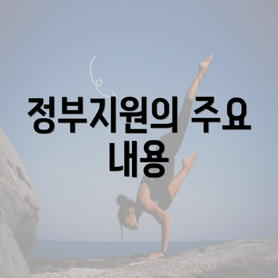 정부지원의 주요 내용