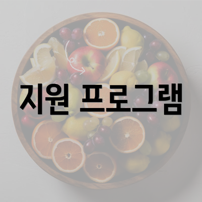 지원 프로그램