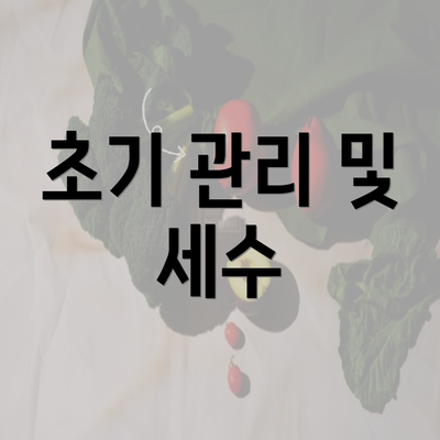 초기 관리 및 세수