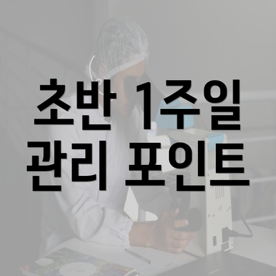 초반 1주일 관리 포인트