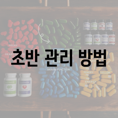 초반 관리 방법