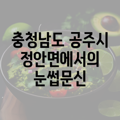 충청남도 공주시 정안면에서의 눈썹문신