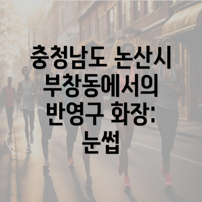 충청남도 논산시 부창동에서의 반영구 화장: 눈썹