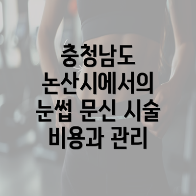 충청남도 논산시에서의 눈썹 문신 시술 비용과 관리