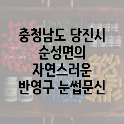 충청남도 당진시 순성면의 자연스러운 반영구 눈썹문신