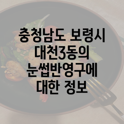 충청남도 보령시 대천3동의 눈썹반영구에 대한 정보