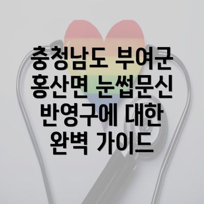 충청남도 부여군 홍산면 눈썹문신 반영구에 대한 완벽 가이드