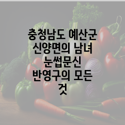 충청남도 예산군 신양면의 남녀 눈썹문신 반영구의 모든 것