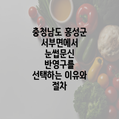 충청남도 홍성군 서부면에서 눈썹문신 반영구를 선택하는 이유와 절차