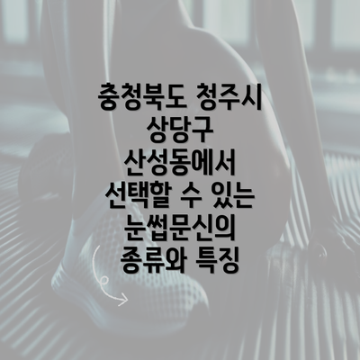 충청북도 청주시 상당구 산성동에서 선택할 수 있는 눈썹문신의 종류와 특징