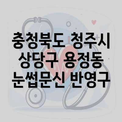 충청북도 청주시 상당구 용정동 눈썹문신 반영구