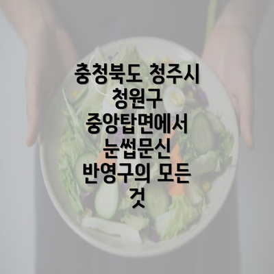 충청북도 청주시 청원구 중앙탑면에서 눈썹문신 반영구의 모든 것