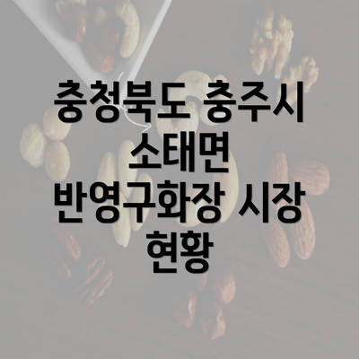 충청북도 충주시 소태면 반영구화장 시장 현황