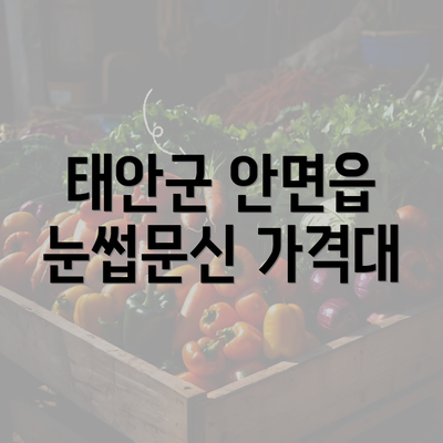 태안군 안면읍 눈썹문신 가격대