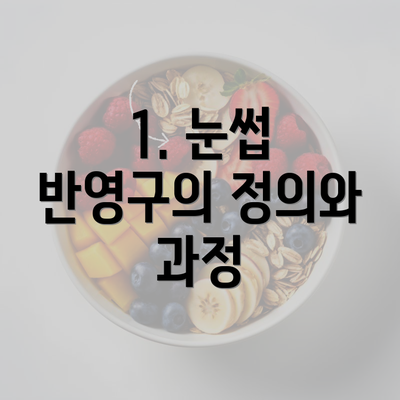 1. 눈썹 반영구의 정의와 과정