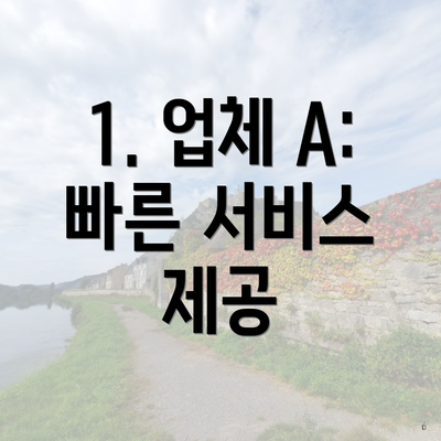 1. 업체 A: 빠른 서비스 제공