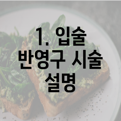 1. 입술 반영구 시술 설명