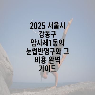 2025 서울시 강동구 암사제1동의 눈썹반영구와 그 비용 완벽 가이드