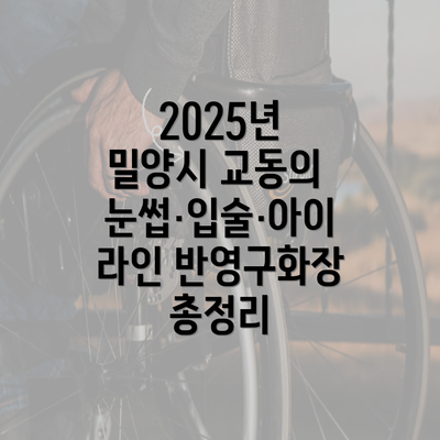 2025년 밀양시 교동의 눈썹·입술·아이라인 반영구화장 총정리