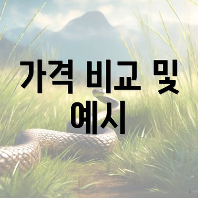 가격 비교 및 예시