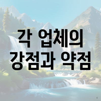 각 업체의 강점과 약점