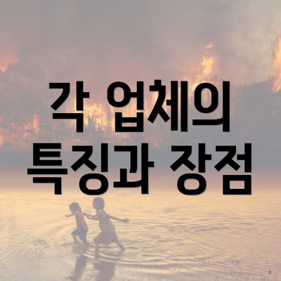 각 업체의 특징과 장점