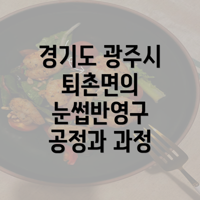 경기도 광주시 퇴촌면의 눈썹반영구 공정과 과정