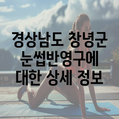 경상남도 창녕군 눈썹반영구에 대한 상세 정보