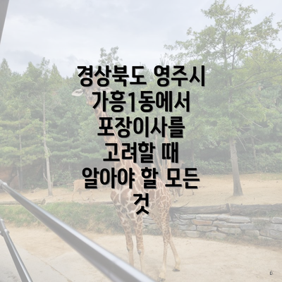 경상북도 영주시 가흥1동에서 포장이사를 고려할 때 알아야 할 모든 것