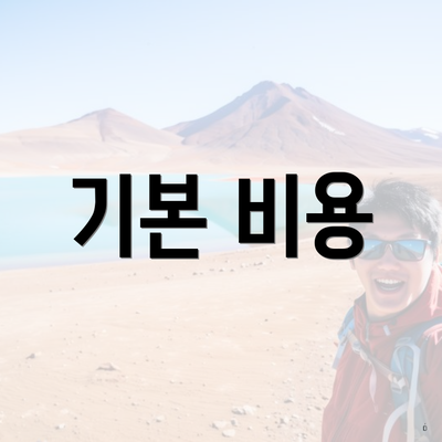기본 비용