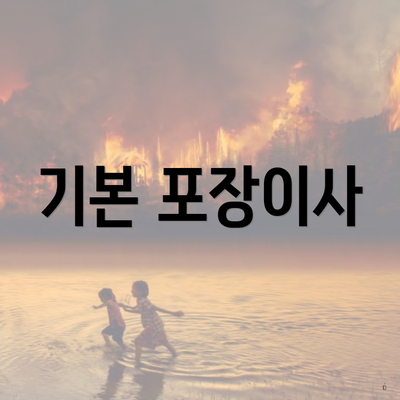 기본 포장이사