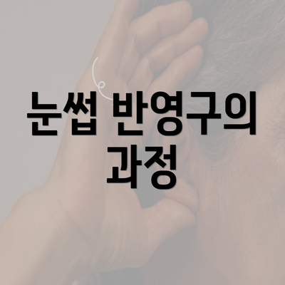 눈썹 반영구의 과정