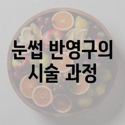 눈썹 반영구의 시술 과정