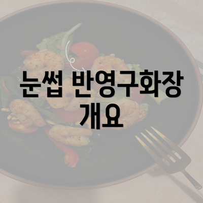 눈썹 반영구화장 개요