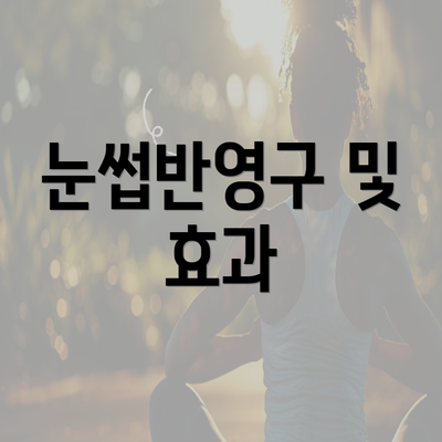 눈썹반영구 및 효과