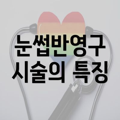 눈썹반영구 시술의 특징